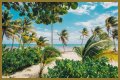 Best Costa Maya Beaches to Visit