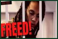 Understanding Griner Gender: A Comprehensive Exploration