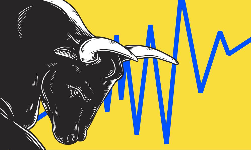 bull run